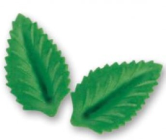 FOGLIE D'OSTIA TAIANI VAS.GR.4