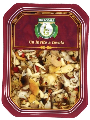 FUNGATA BUSCEMA KG2 VASCHETTA