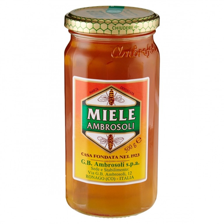 AMBROSOLI MIELE 500 G