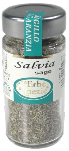 SALVIA TAIANI VAS.GR.20